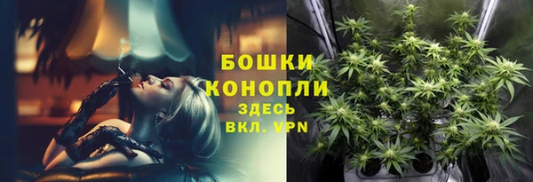 шишки Приозерск