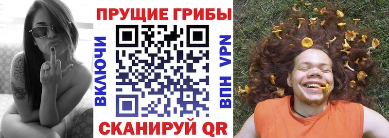 купить наркоту  Змеиногорск  Псилоцибиновые грибы прущие грибы 