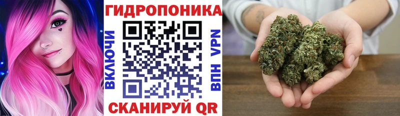 купить наркоту  Змеиногорск  МАРИХУАНА OG Kush 
